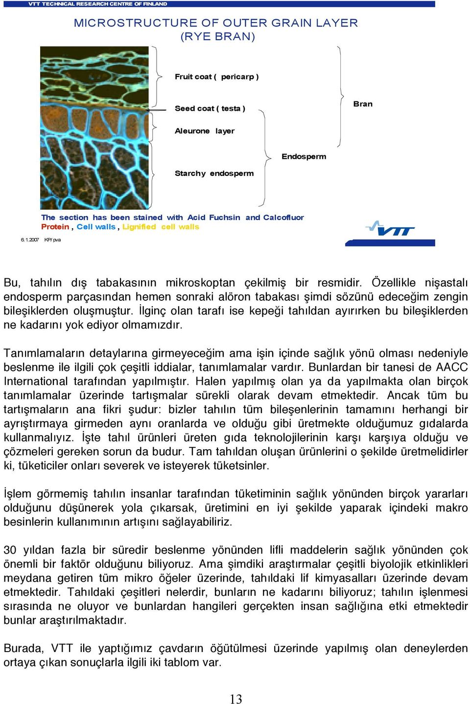 Özellikle nişastalı endosperm parçasından hemen sonraki alöron tabakası şimdi sözünü edeceğim zengin bileşiklerden oluşmuştur.