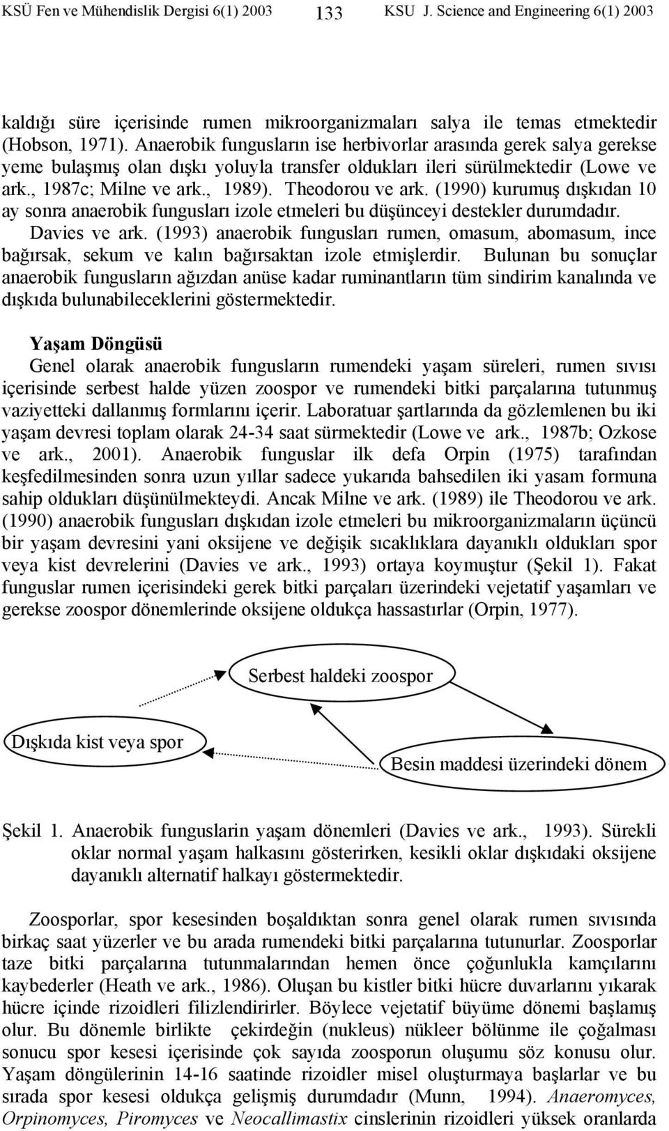 (1990) kurumuş dışkıdan 10 ay sonra anaerobik fungusları izole etmeleri bu düşünceyi destekler durumdadır. Davies ve ark.