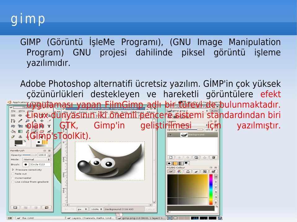 GİMP'in çok yüksek çözünürlükleri destekleyen ve hareketli görüntülere efekt uygulaması yapan FilmGimp adlı