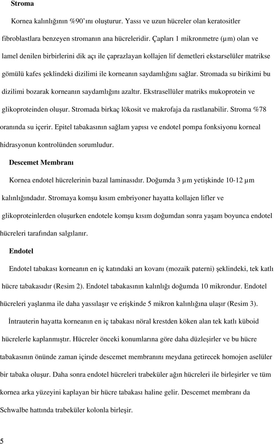 Stromada su birikimi bu dizilimi bozarak korneanın saydamlığını azaltır. Ekstrasellüler matriks mukoprotein ve glikoproteinden oluşur. Stromada birkaç lökosit ve makrofaja da rastlanabilir.