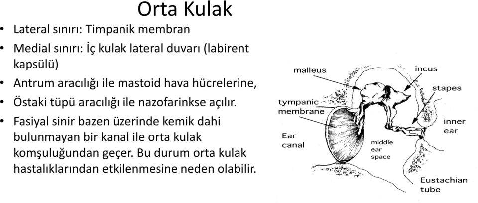 ile nazofarinkse açılır.