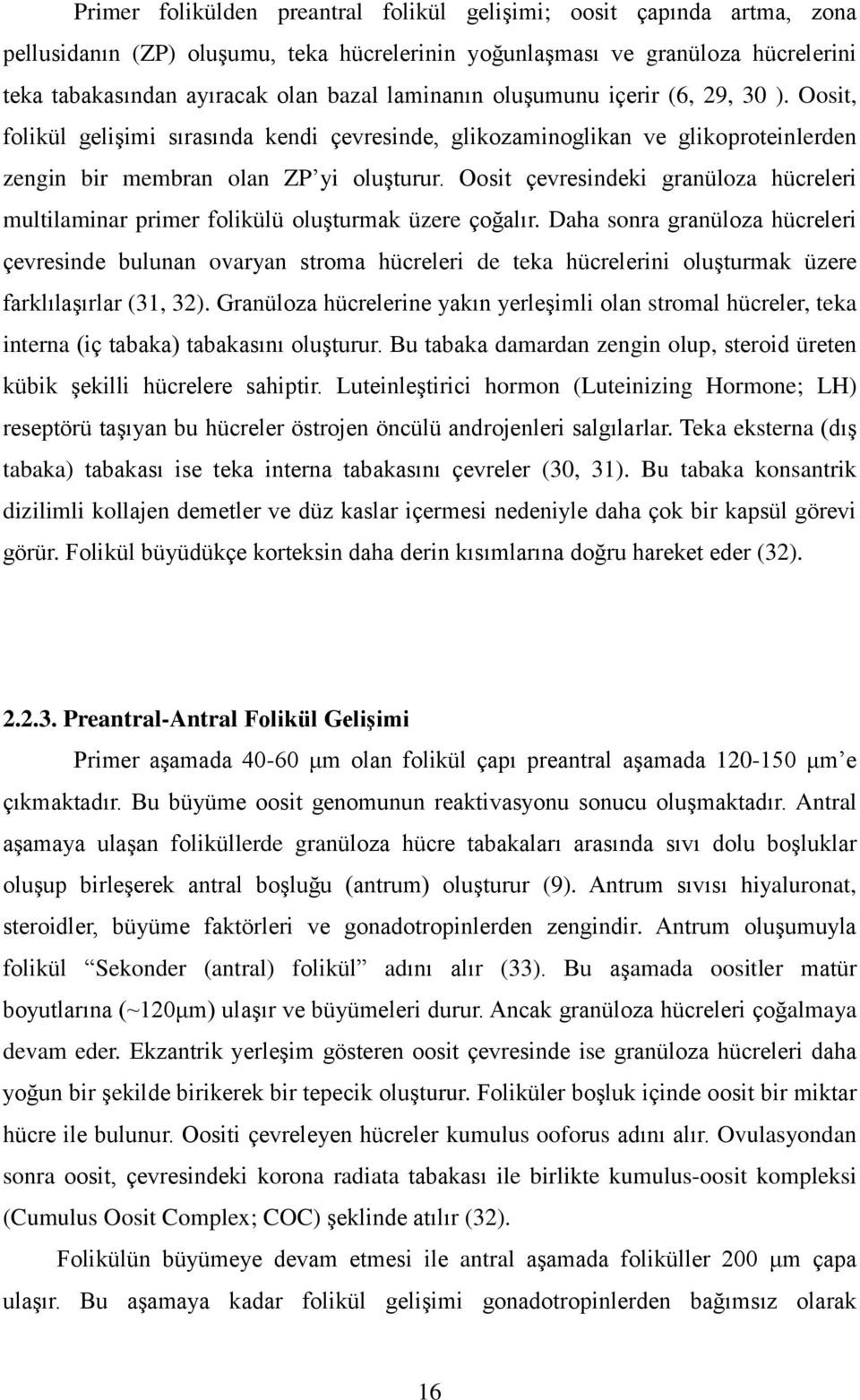 Oosit çevresindeki granüloza hücreleri multilaminar primer folikülü oluşturmak üzere çoğalır.