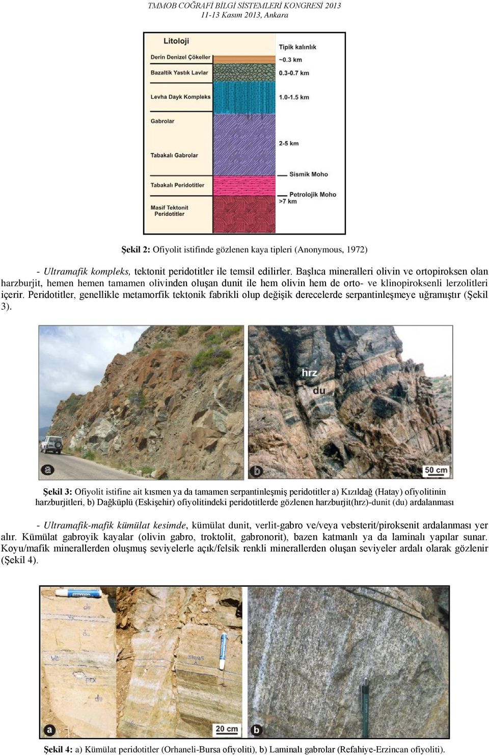 Peridotitler, genellikle metamorfik tektonik fabrikli olup değişik derecelerde serpantinleşmeye uğramıştır (Şekil 3).