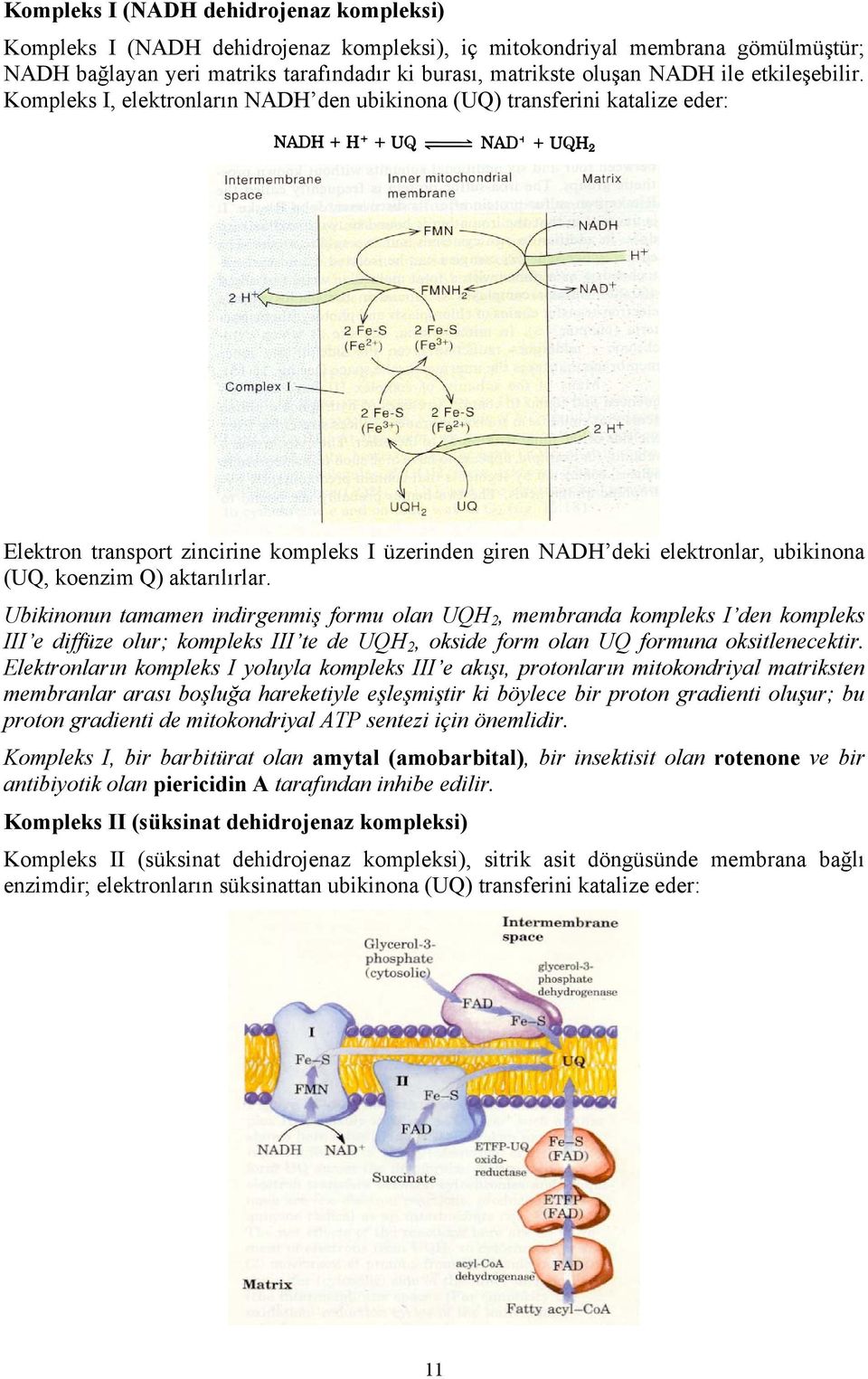 Kompleks I, elektronların NADH den ubikinona (UQ) transferini katalize eder: Elektron transport zincirine kompleks I üzerinden giren NADH deki elektronlar, ubikinona (UQ, koenzim Q) aktarılırlar.