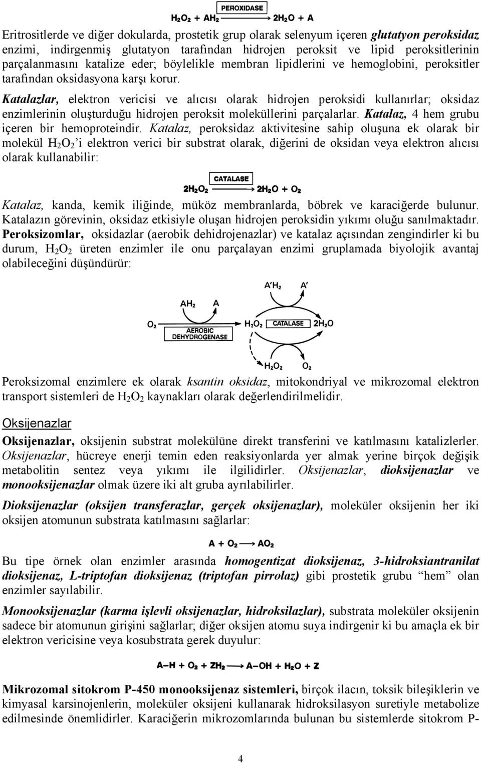 Katalazlar, elektron vericisi ve alıcısı olarak hidrojen peroksidi kullanırlar; oksidaz enzimlerinin oluşturduğu hidrojen peroksit moleküllerini parçalarlar.