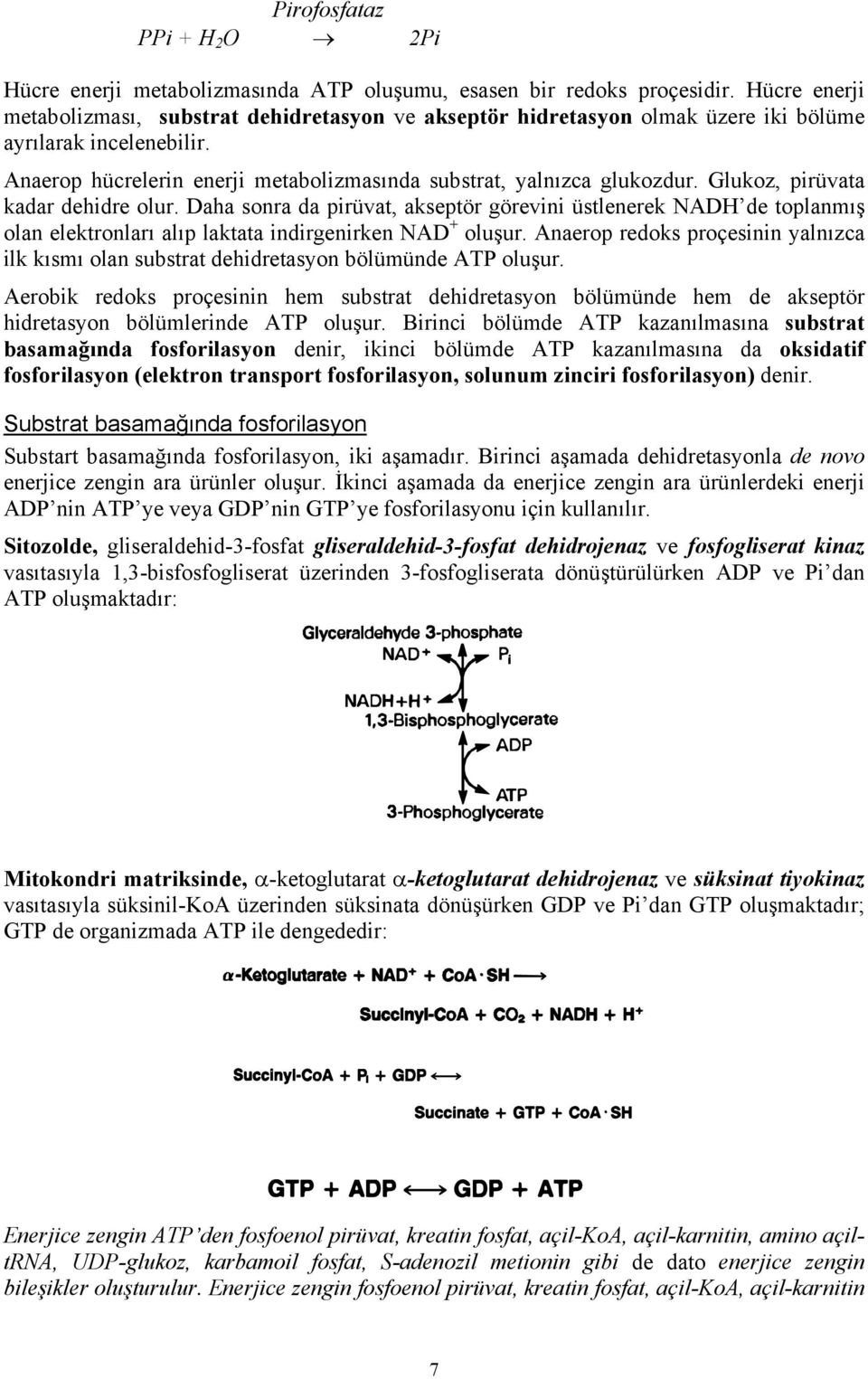 Glukoz, pirüvata kadar dehidre olur. Daha sonra da pirüvat, akseptör görevini üstlenerek NADH de toplanmış olan elektronları alıp laktata indirgenirken NAD + oluşur.