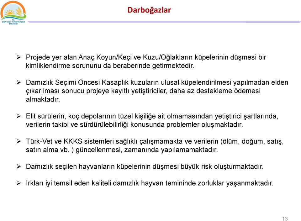 Elit sürülerin, koç depolarının tüzel kişiliğe ait olmamasından yetiştirici şartlarında, verilerin takibi ve sürdürülebilirliği konusunda problemler oluşmaktadır.