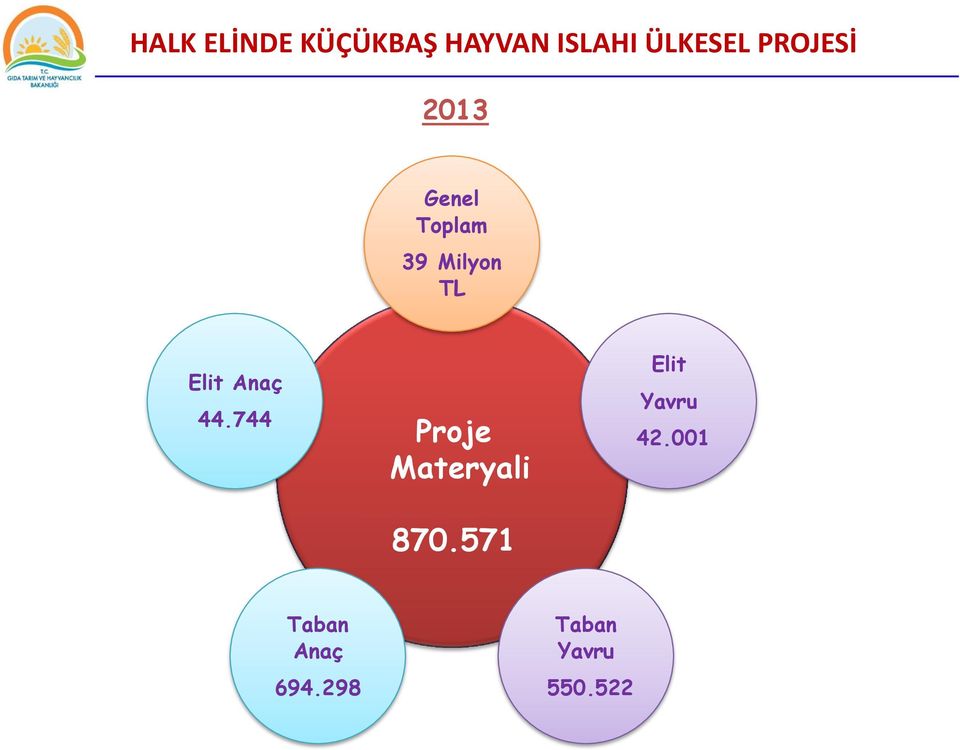 Anaç 44.744 Proje Materyali Elit Yavru 42.