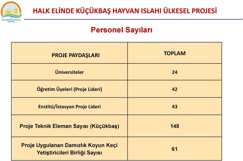 42 Enstitü/İstasyon Proje Lideri 43 Proje Teknik Eleman Sayısı