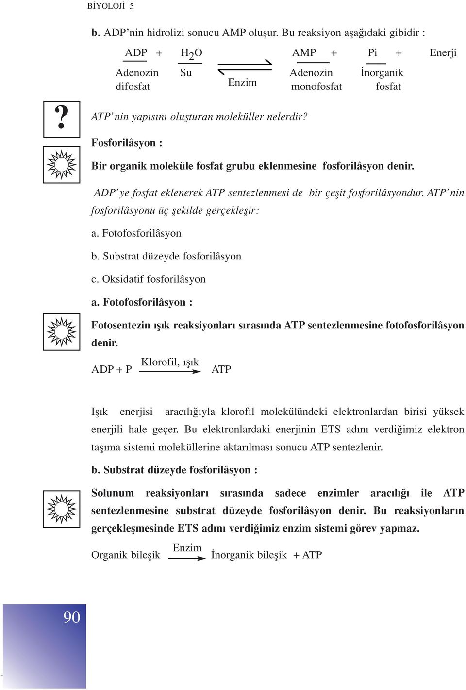 Fosforilâsyon : Bir organik moleküle fosfat grubu eklenmesine fosforilâsyon denir. ADP ye fosfat eklenerek ATP sentezlenmesi de bir çeflit fosforilâsyondur.