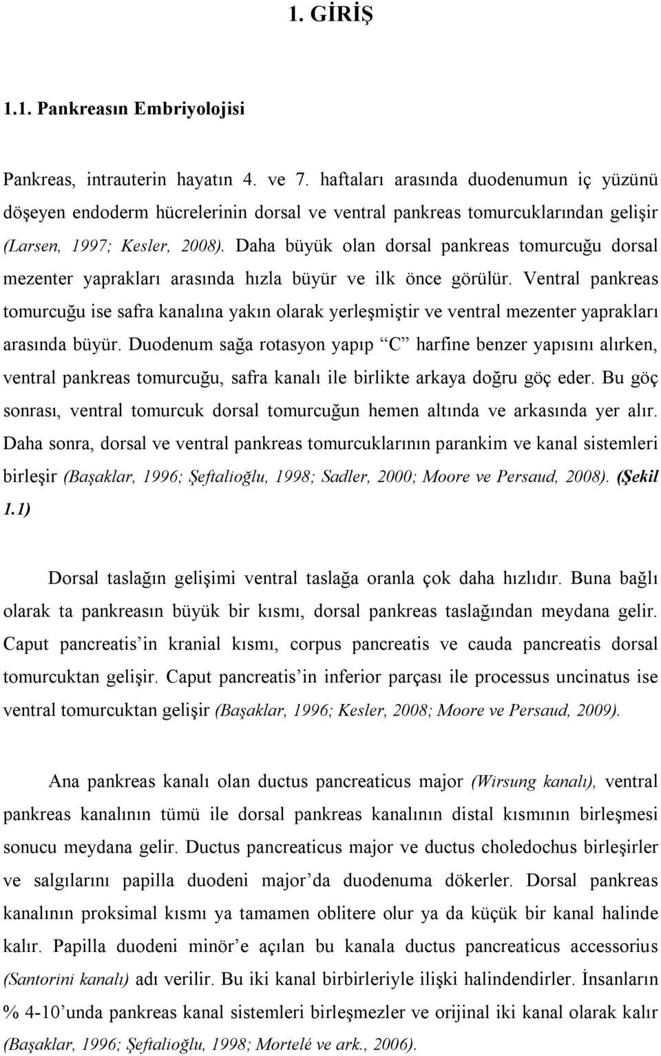 Daha büyük olan dorsal pankreas tomurcuğu dorsal mezenter yaprakları arasında hızla büyür ve ilk önce görülür.