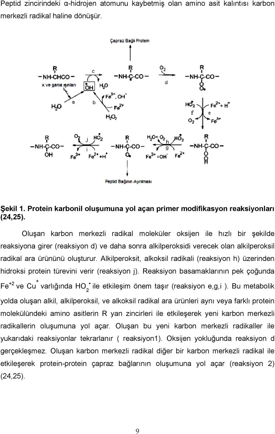 Oluşan karbon merkezli radikal moleküler oksijen ile hızlı bir şekilde reaksiyona girer (reaksiyon d) ve daha sonra alkilperoksidi verecek olan alkilperoksil radikal ara ürününü oluşturur.