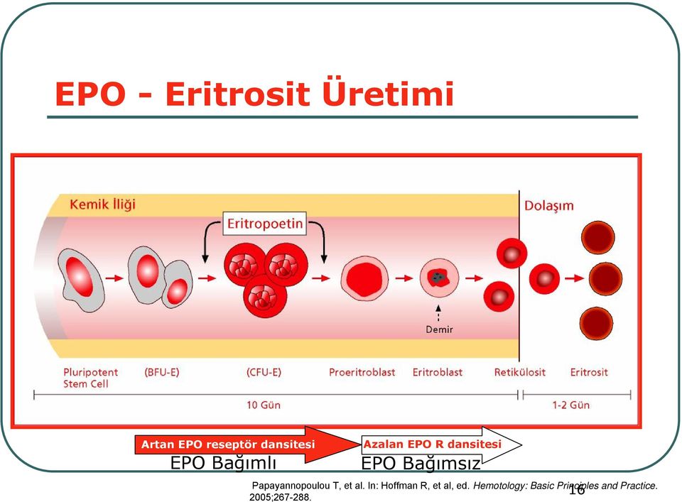 Papayannopoulou T, et al. In: Hoffman R, et al, ed.