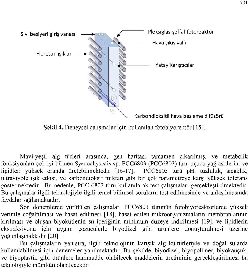 PCC6803 (PCC6803) türü uçucu yağ asitlerini ve lipidleri yüksek oranda üretebilmektedir [16-17].