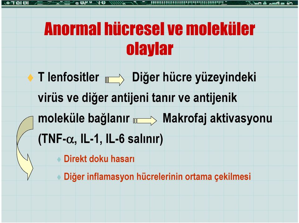 moleküle bağlanır Makrofaj aktivasyonu (TNF-, IL-1, IL-6