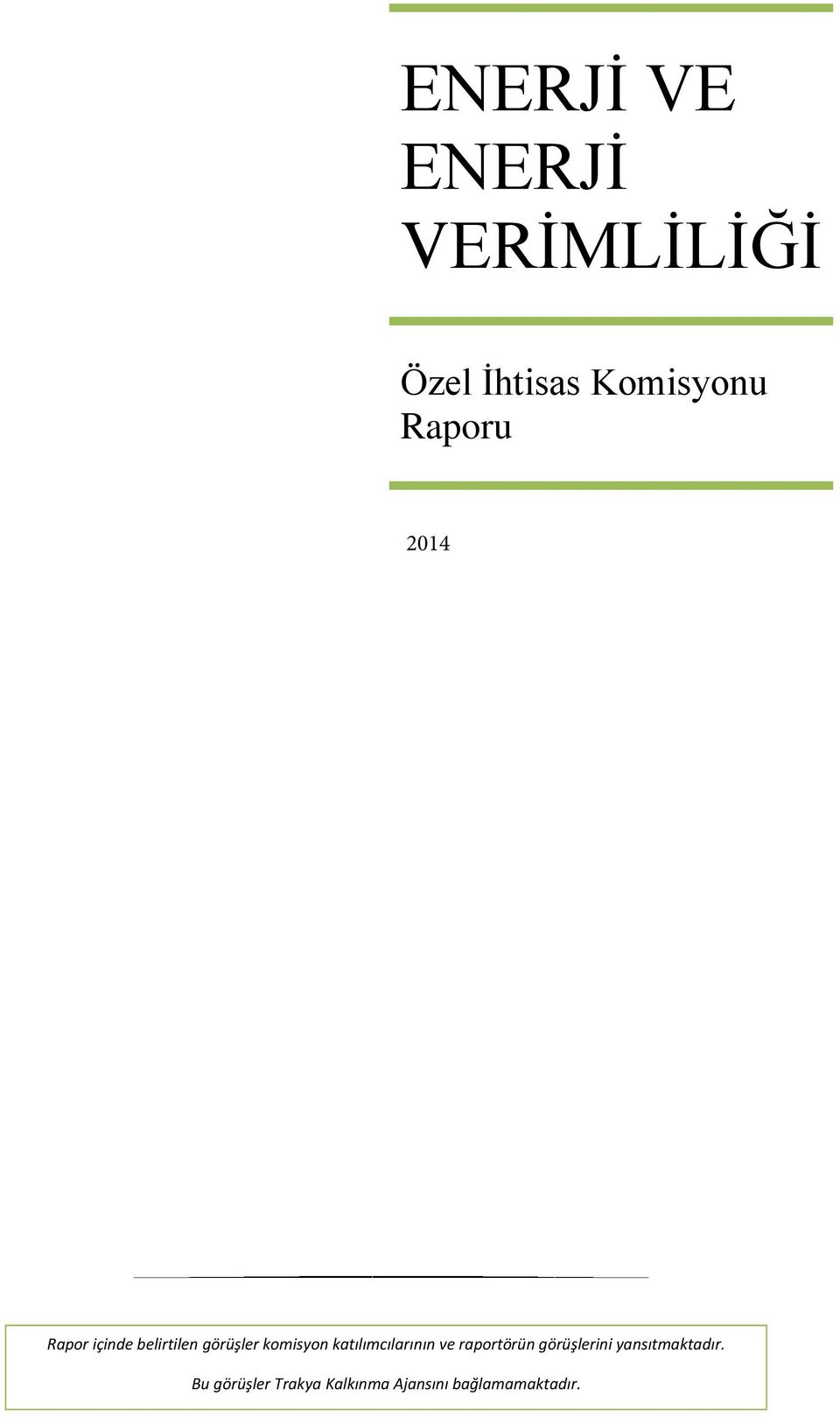 katılımcılarının ve raportörün görüşlerini