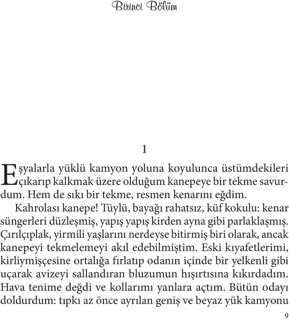 Tüylü, bayağı rahatsız, küf kokulu: kenar süngerleri düzleşmiş, yapış yapış kirden ayna gibi parlaklaşmış.