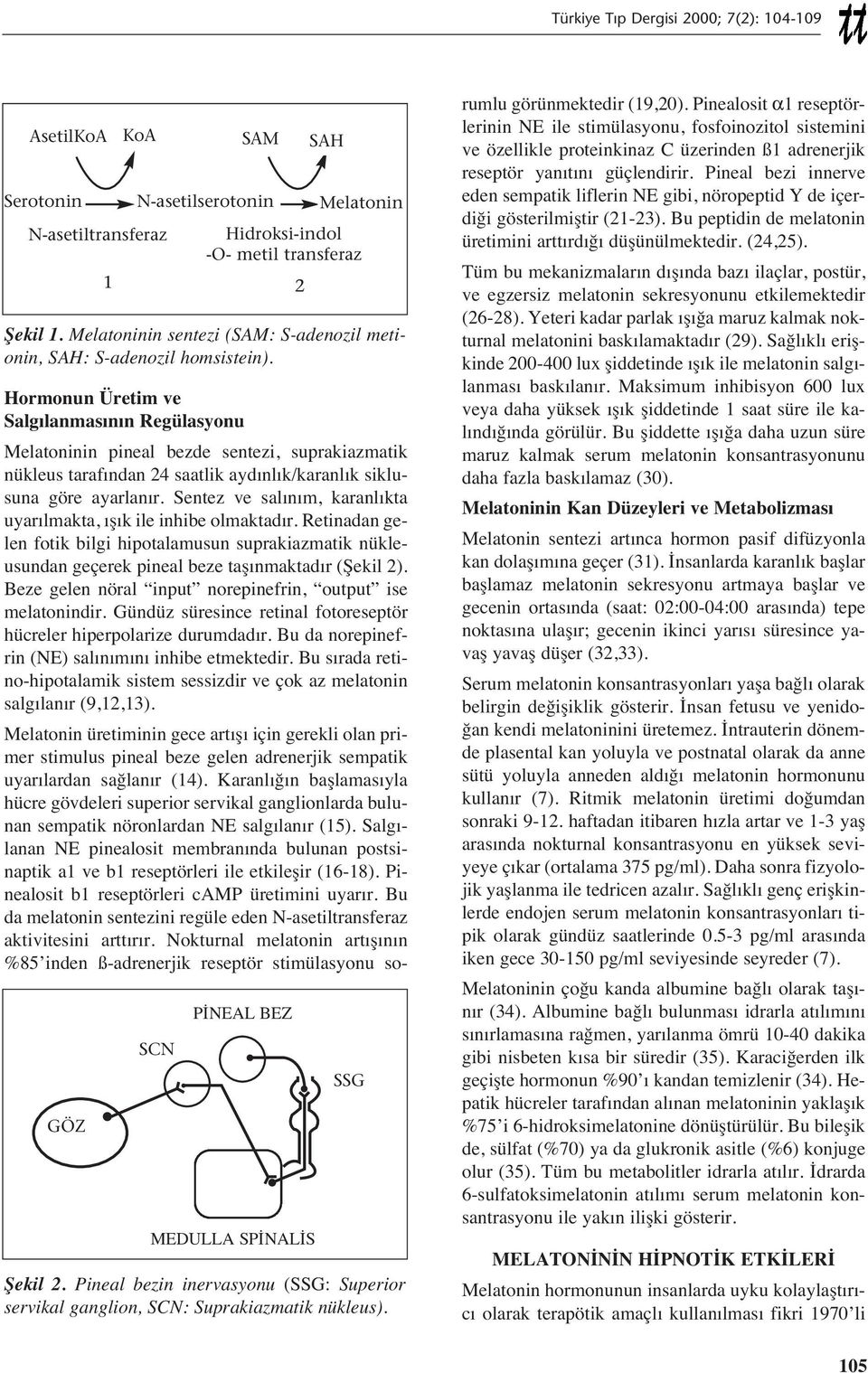 Pineal bezin inervasyonu (SSG: Superior servikal ganglion, SCN: Suprakiazmatik nükleus).