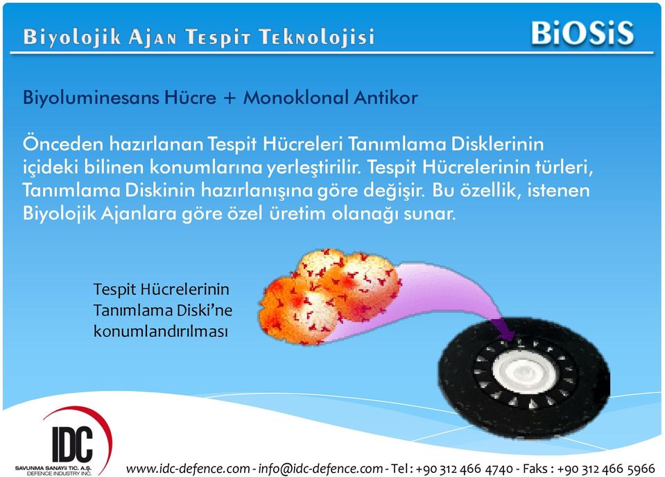 Tespit Hücrelerinin türleri, Tanımlama Diskinin hazırlanışına göre değişir.