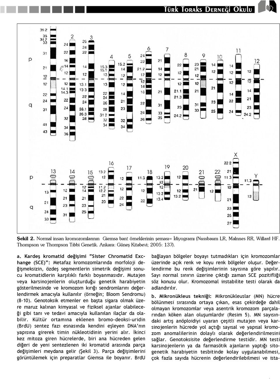 r. Mutajen veya karsinojenlerin oluflturdu u genetik harabiyetin gösterilmesinde ve kromozom k r sendromlar n de erlendirmek amac yla kullan l r (örne in; Bloom Sendromu) (8-10).
