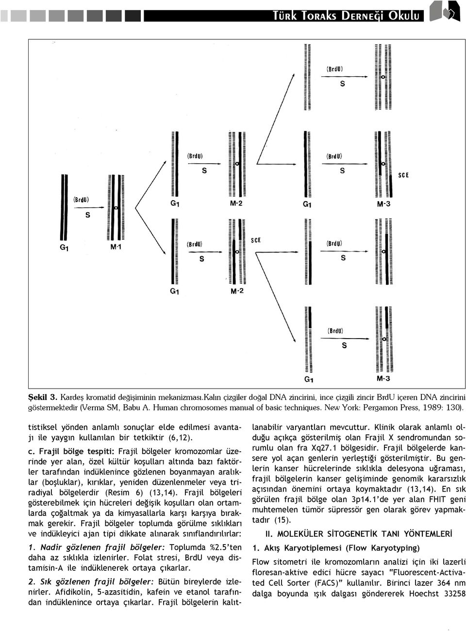 romosomes manual of basic techniques. New York: Pergamon Press, 1989: 130). tistiksel yönden anlaml sonuçlar elde edilmesi avantaj ile yayg n kullan lan bir tetkiktir (6,12). c.