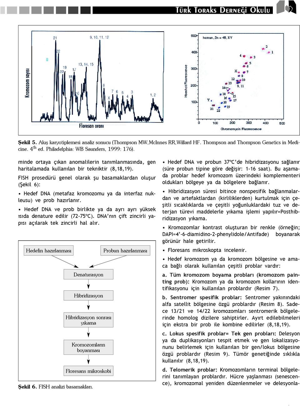 FISH prosedürü genel olarak flu basamaklardan oluflur (fiekil 6): Hedef DNA (metafaz kromozomu ya da interfaz nukleusu) ve prob haz rlan r.