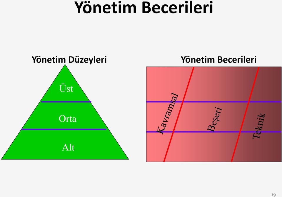 Düzeyleri  Üst