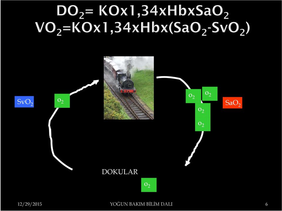 DOKULAR o 2