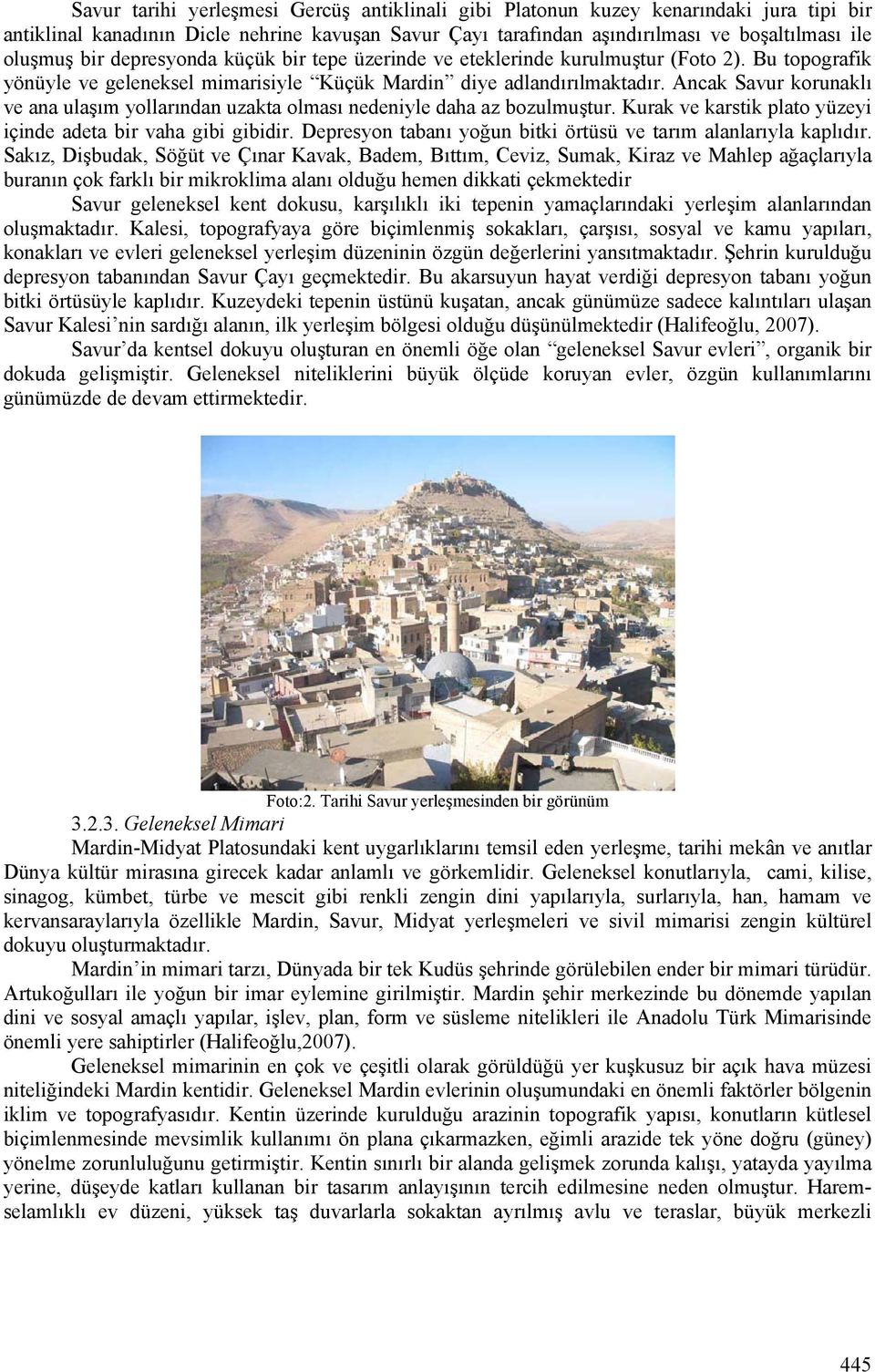 Ancak Savur korunaklı ve ana ulaşım yollarından uzakta olması nedeniyle daha az bozulmuştur. Kurak ve karstik plato yüzeyi içinde adeta bir vaha gibi gibidir.