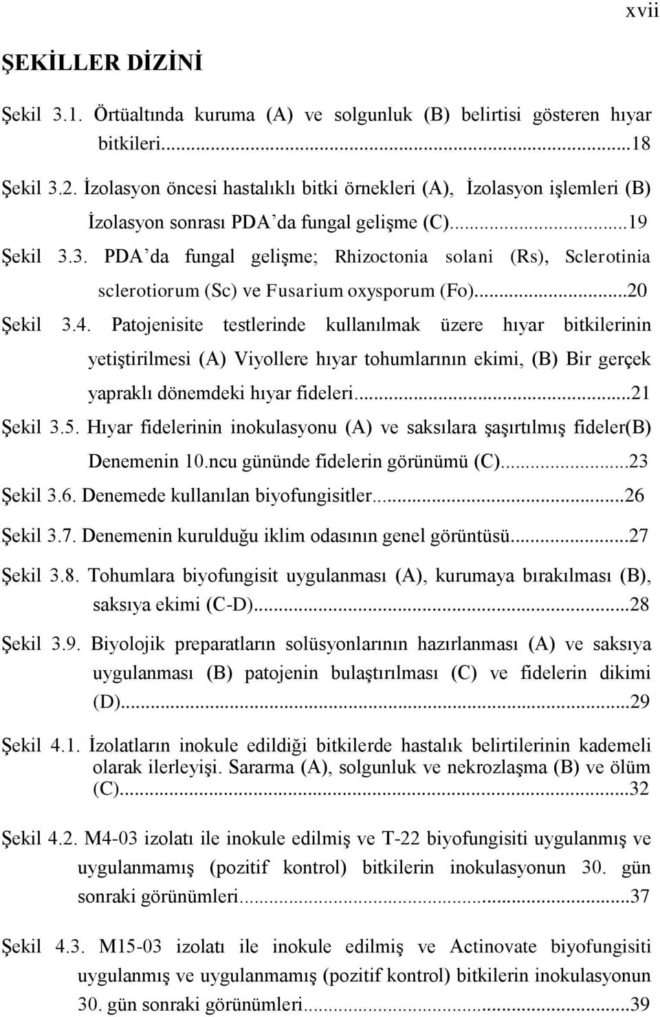 3. PDA da fungal gelişme; Rhizoctonia solani (Rs), Sclerotinia sclerotiorum (Sc) ve Fusarium oxysporum (Fo)...20 Şekil 3.4.