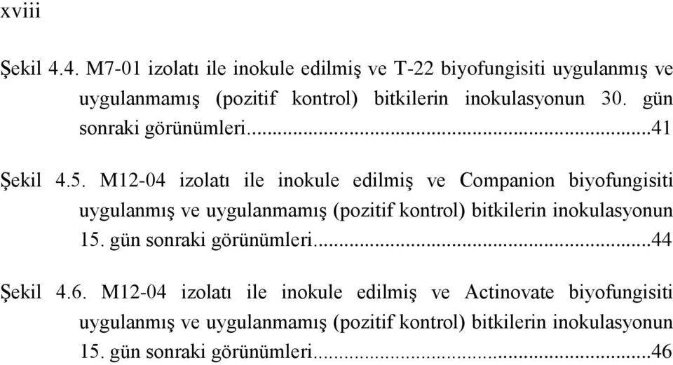 gün sonraki görünümleri...41 Şekil 4.5.