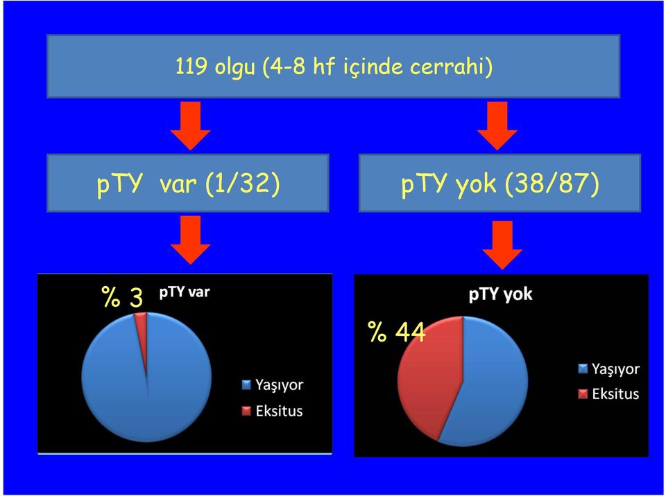 pty var (1/32)