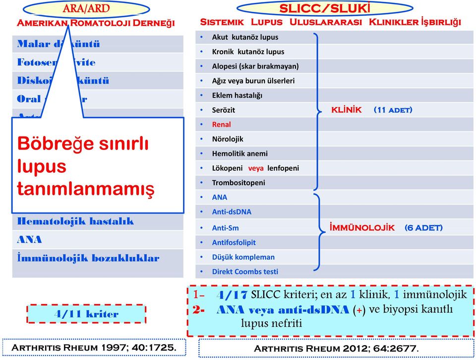 ülserleri Eklem hastalığı Serözit KLİNİK (11 adet) Renal Nörolojik Hemolitik anemi Lökopeni veya lenfopeni Trombositopeni ANA Anti dsdna Anti Sm İMMÜNOLOJİK (6 ADET) Antifosfolipit Düşük kompleman