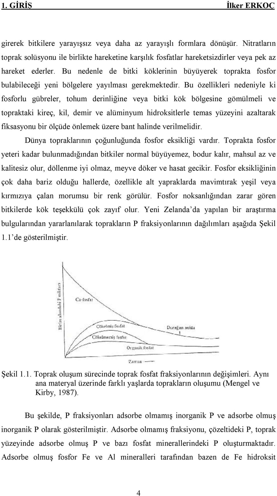 Bu nedenle de bitki köklerinin büyüyerek toprakta fosfor bulabileceği yeni bölgelere yayılması gerekmektedir.