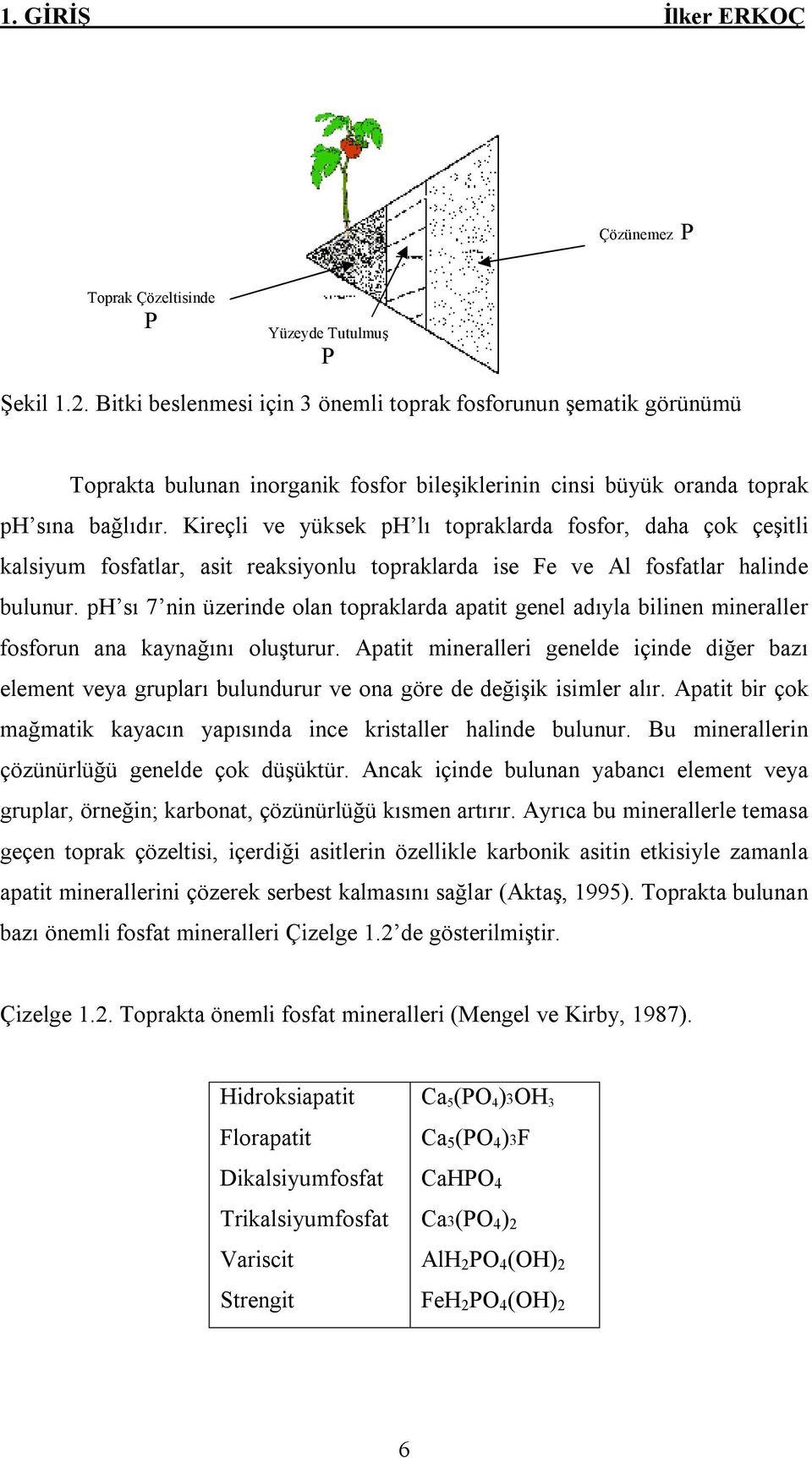 Kireçli ve yüksek ph lı topraklarda fosfor, daha çok çeşitli kalsiyum fosfatlar, asit reaksiyonlu topraklarda ise Fe ve Al fosfatlar halinde bulunur.