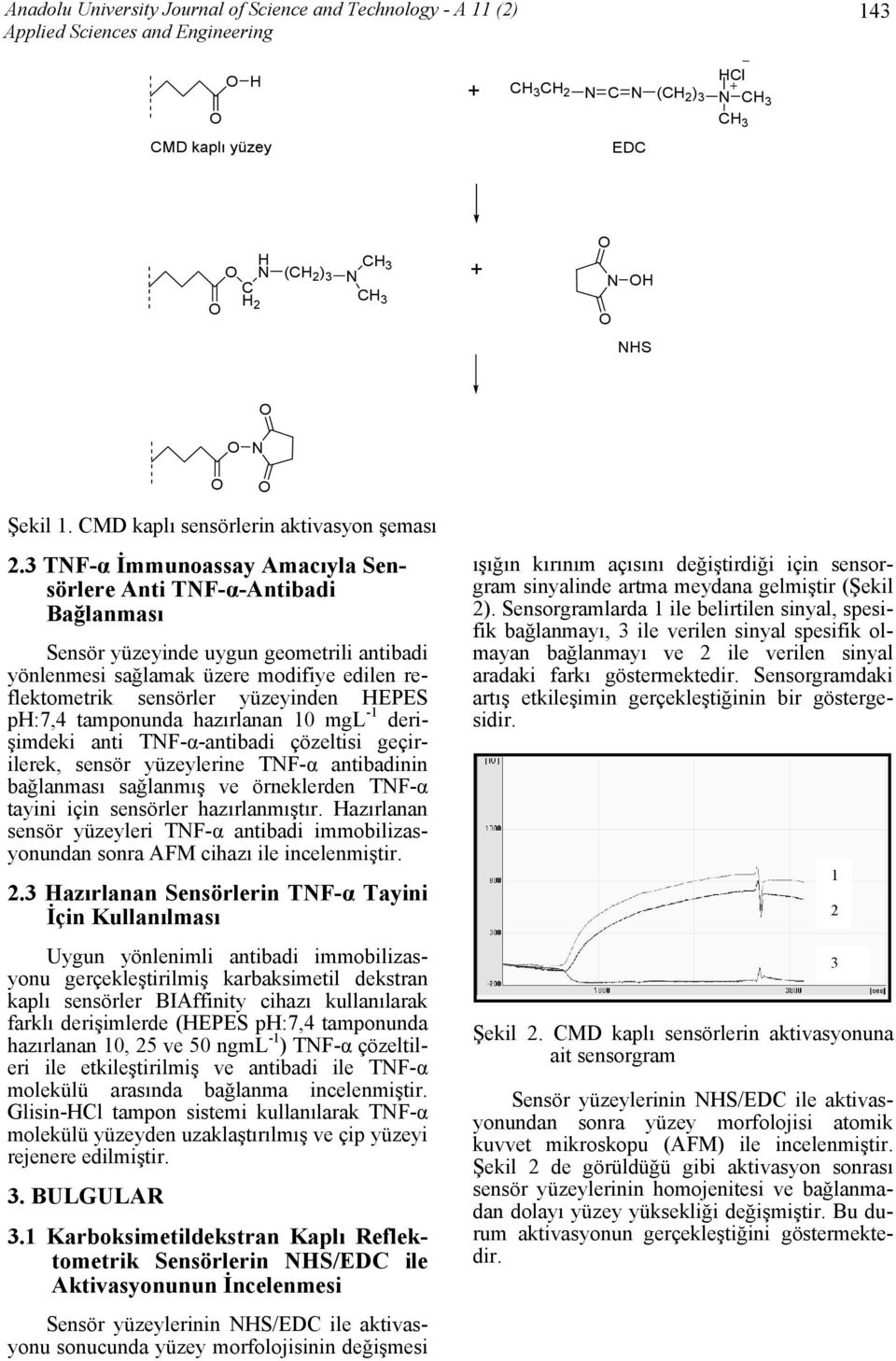 TNF-α İmmunoassay Amacıyla Sensörlere Anti TNF-α-Antibadi Bağlanması Sensör yüzeyinde uygun geometrili antibadi yönlenmesi sağlamak üzere modifiye edilen reflektometrik sensörler yüzeyinden HEPES