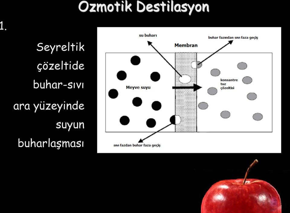 çözeltide buhar-sıvı