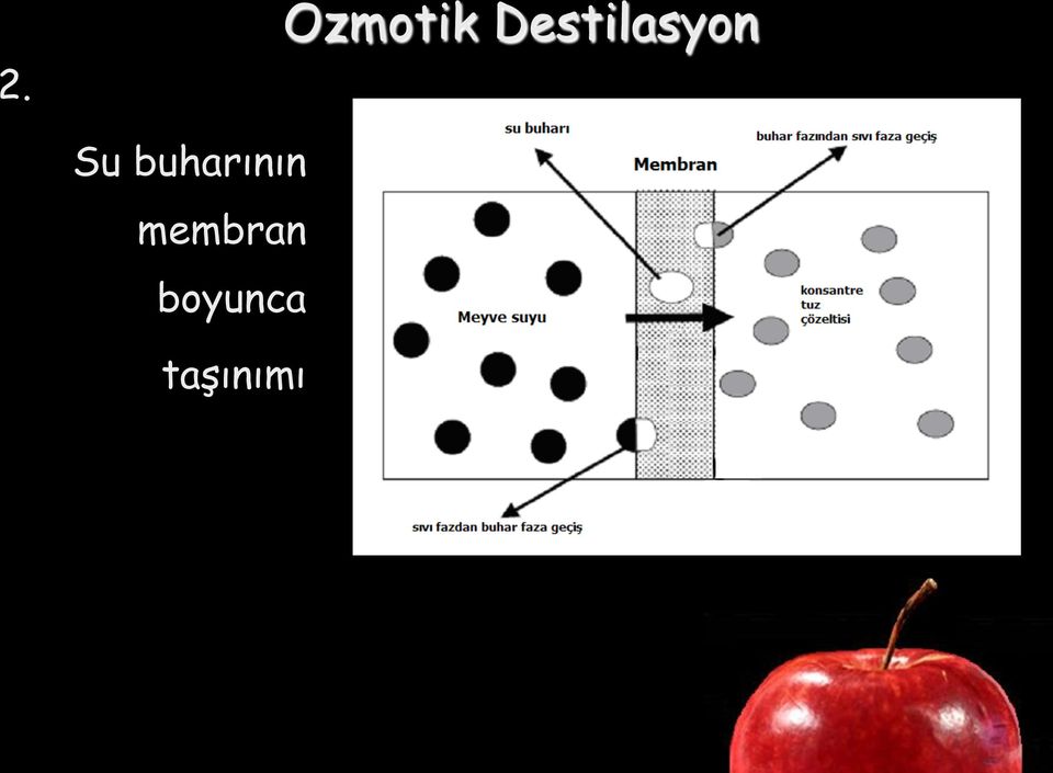 buharının