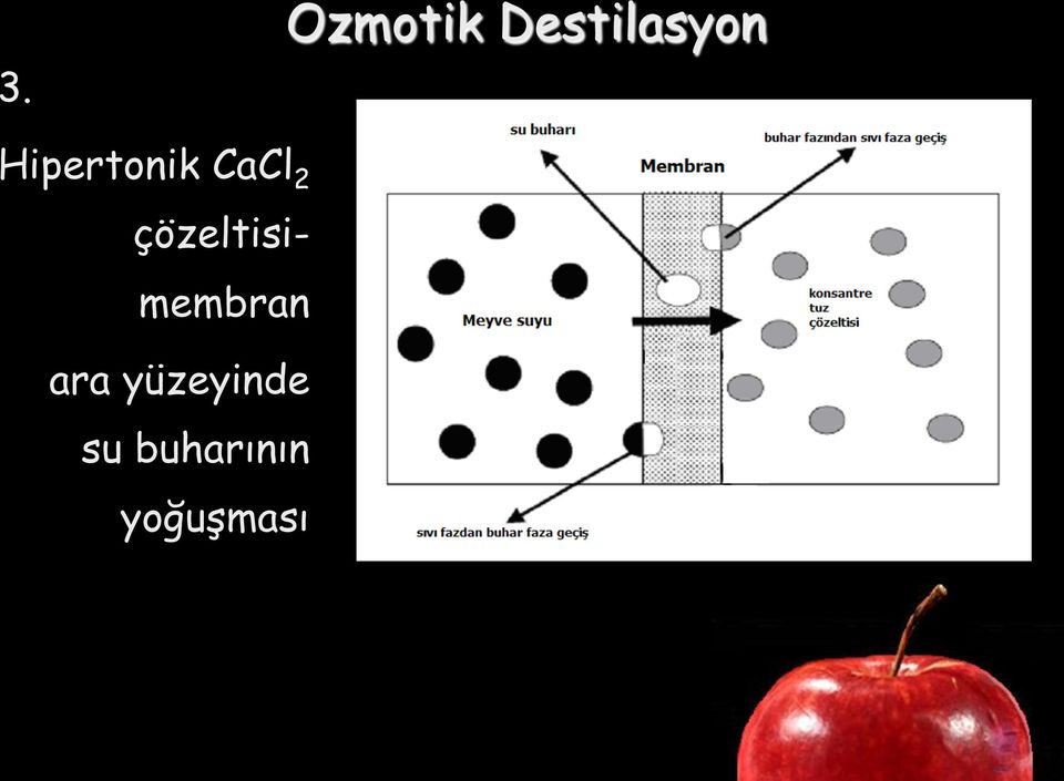 çözeltisimembran ara