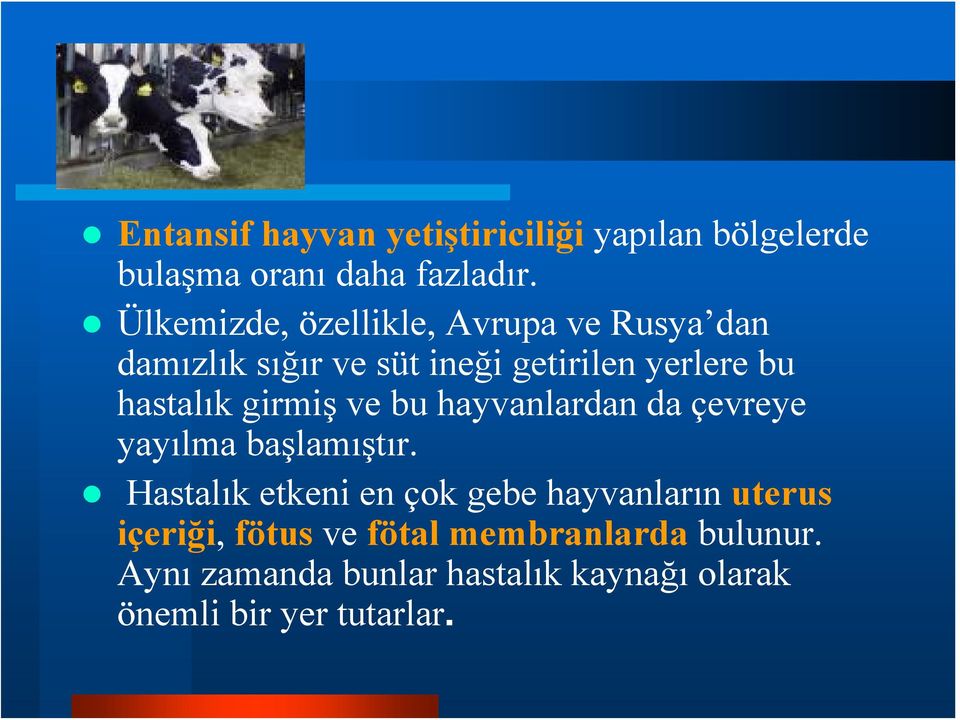 girmiş ve bu hayvanlardan da çevreye yayılma başlamıştır.