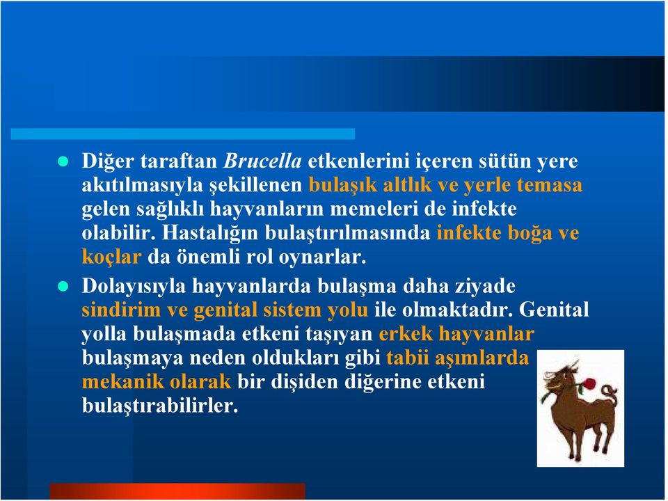 Dolayısıyla hayvanlarda bulaşma daha ziyade sindirim ve genital sistem yolu ile olmaktadır.