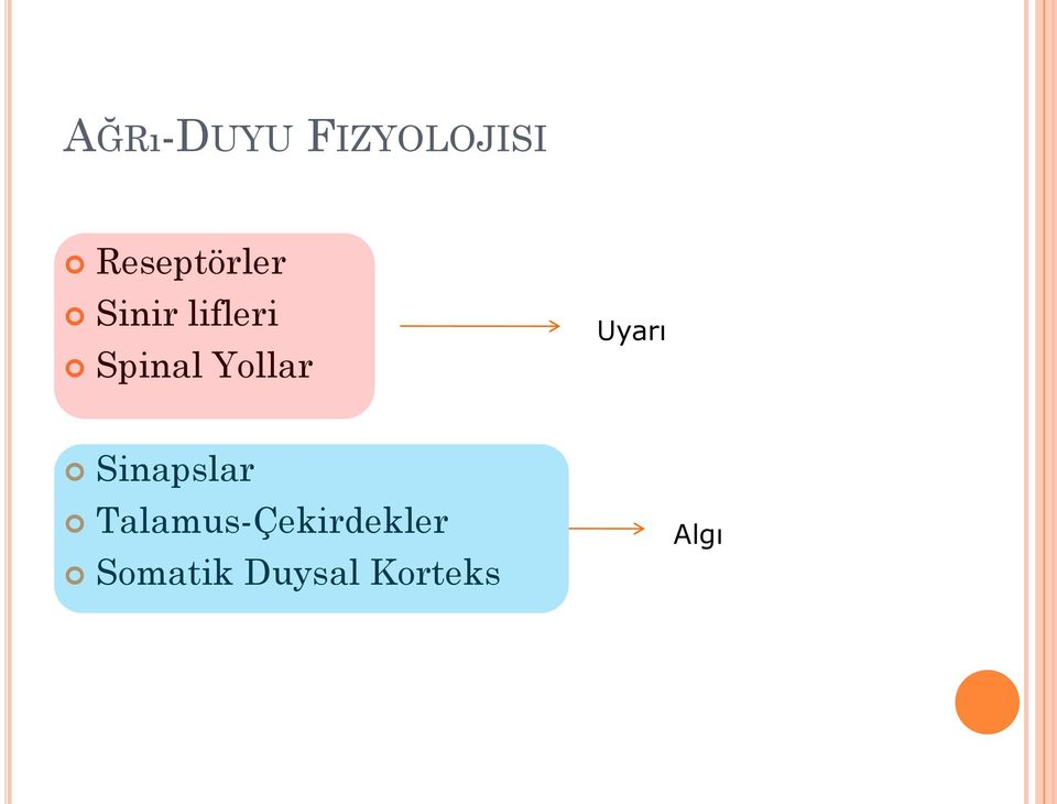 Spinal Yollar Uyarı Sinapslar