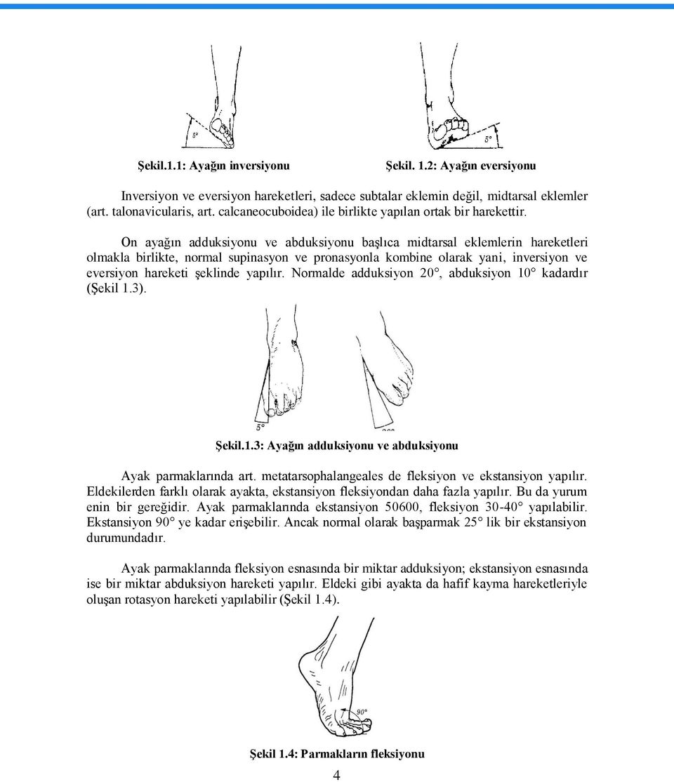 On ayağın adduksiyonu ve abduksiyonu baģlıca midtarsal eklemlerin hareketleri olmakla birlikte, normal supinasyon ve pronasyonla kombine olarak yani, inversiyon ve eversiyon hareketi Ģeklinde yapılır.