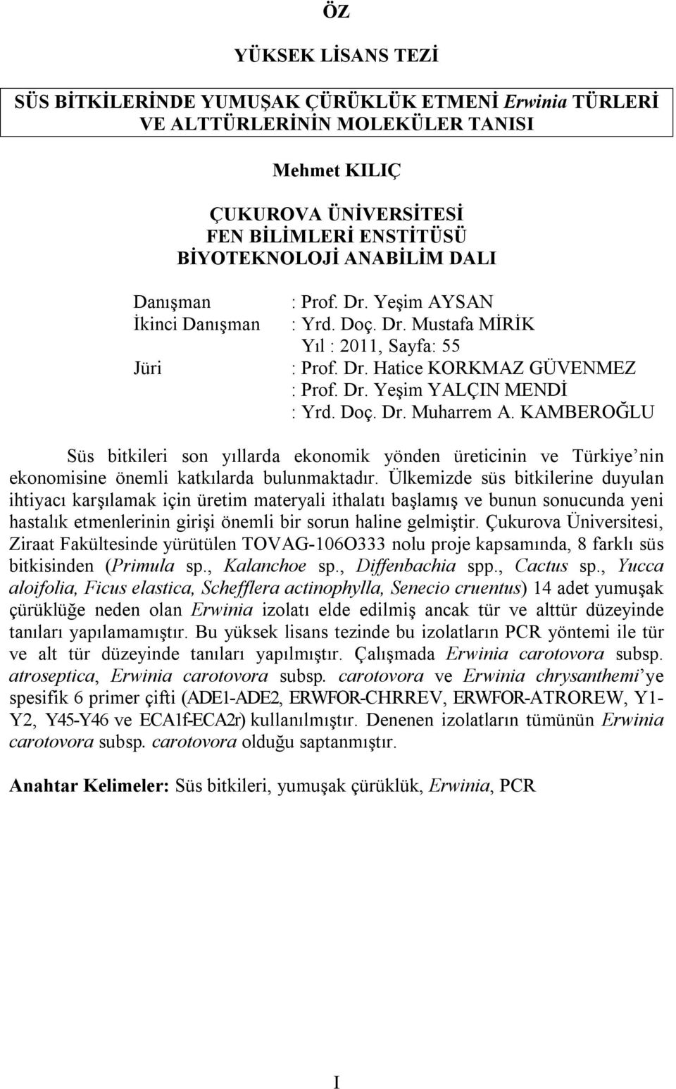 KAMBEROĞLU Süs bitkileri son yıllarda ekonomik yönden üreticinin ve Türkiye nin ekonomisine önemli katkılarda bulunmaktadır.