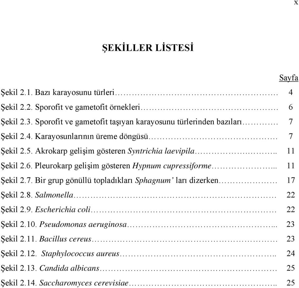 Akrokarp gelişim gösteren Syntrichia laevipila... 11 Şekil 2.6. Pleurokarp gelişim gösteren Hypnum cupressiforme... 11 Şekil 2.7.