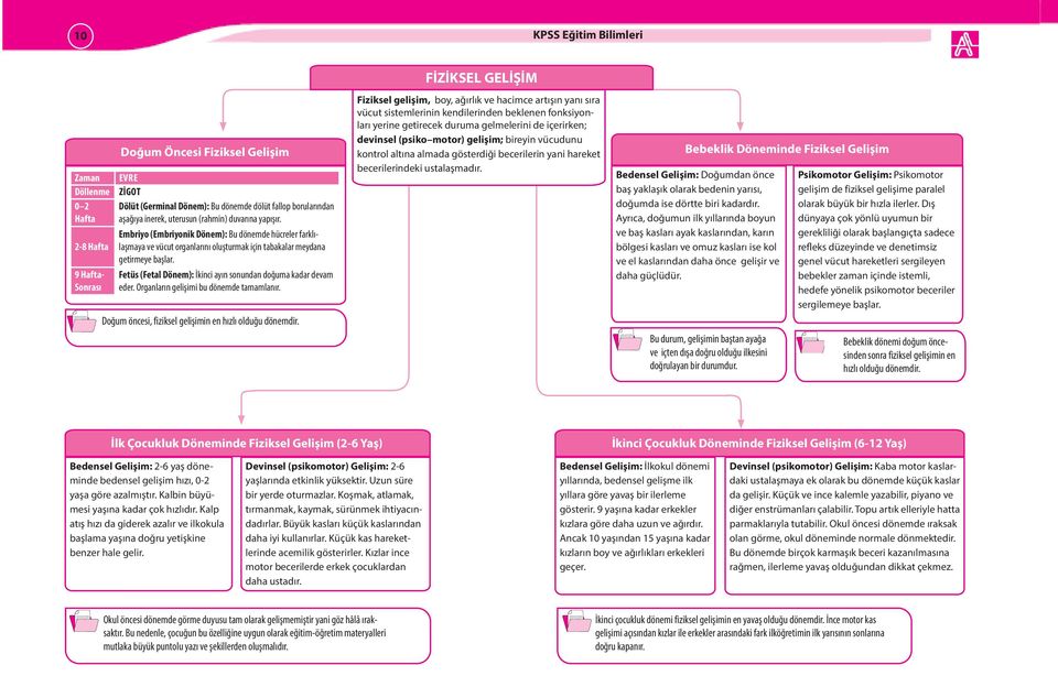 Fetüs (Fetal Dönem): İkinci ayın sonundan doğuma kadar devam eder. Organların gelişimi bu dönemde tamamlanır. Doğum öncesi, fiziksel gelişimin en hızlı olduğu dönemdir.