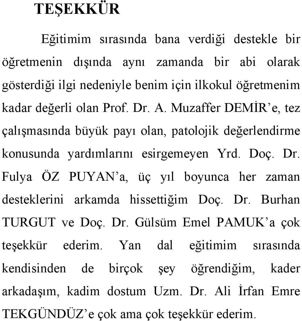 Dr. Burhan TURGUT ve Doç. Dr. Gülsüm Emel PAMUK a çok teşekkür ederim.