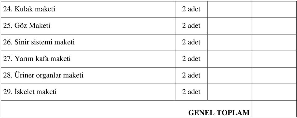 Sinir sistemi maketi 2 adet 27.