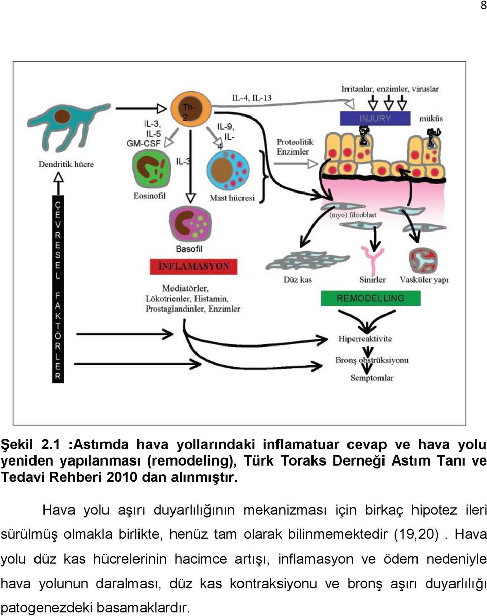 Tanı ve Tedavi Rehberi 2010 dan alınmıştır.