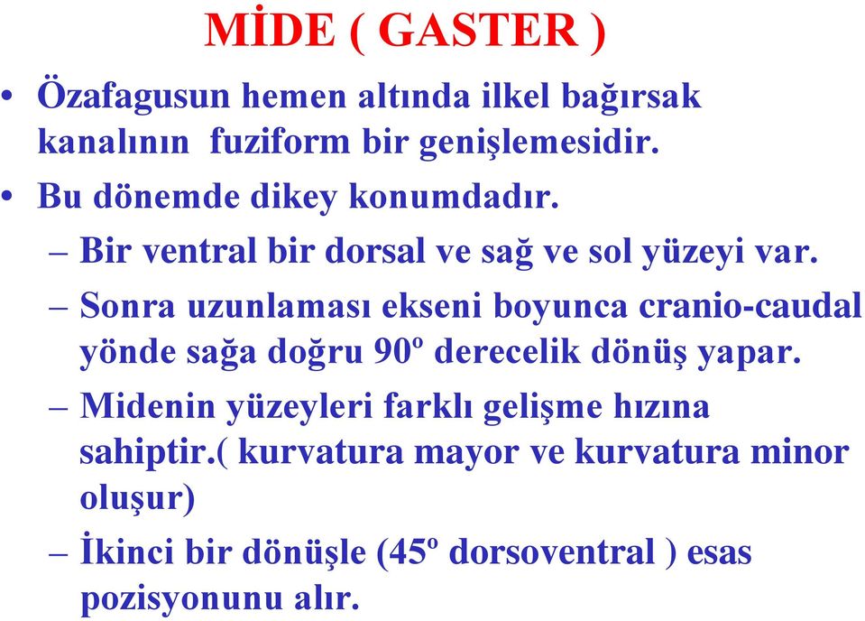 Sonra uzunlaması ekseni boyunca cranio-caudal yönde sağa doğru 90º derecelik dönüş yapar.